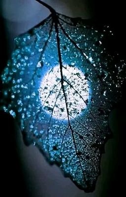 Mirror31910278's profile picture. Alunizaje