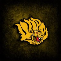 𝐆𝐨𝐥𝐝𝐞𝐧 𝐋𝐢𝐨𝐧𝐬 𝐅𝐨𝐨𝐭𝐛𝐚𝐥𝐥 🏈(@UAPBLionsFB) 's Twitter Profile Photo