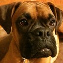 Laura Capps - @LauraCapps2 - Twitter