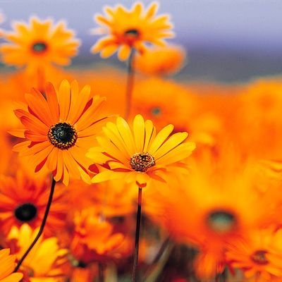 Martijn020778's profile picture. gewoon