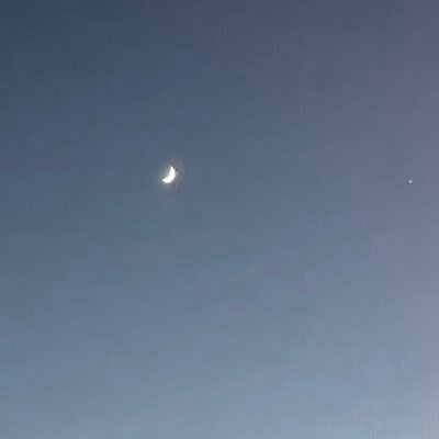 whataboutever's profile picture. 