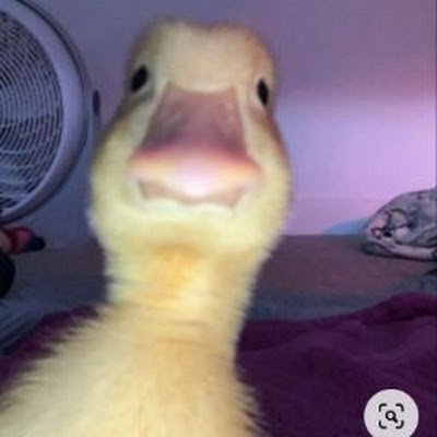 isibm08's profile picture. 𝓁ℴ𝓋ℯ'𝒻ℴ𝓇 𝓎ℴ𝓊 
Ⓘ︎Ⓢ︎Ⓘ︎