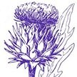 IPAGlasgow2023 (@ipaglasgow2023) 's Twitter Profile