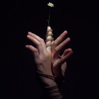 not yet (@__neat__) 's Twitter Profile