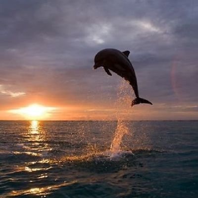 woudGeorge's profile picture. securing the bag