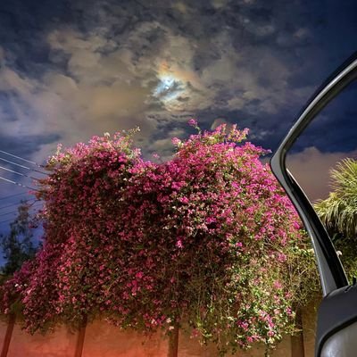 endf77's profile picture. لا تنخدع بالبدايات، فإبليس كان مؤمنًا.