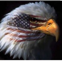 Stand for American’s 🇺🇸. 🇨🇦(@LloydPo15971806) 's Twitter Profileg