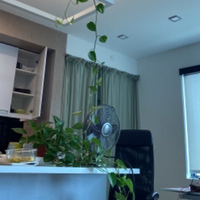 syed07's profile picture. 