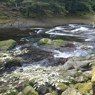 kumaoji33's profile picture. 亀足のアラフィフランナーです。目標は2025年中にフル3時間45分切り、年間走行3000km、献血年間12回目指して頑張ります。Xはそのとき興味のあることを時々つぶやいていきます。無言フォロー失礼します。