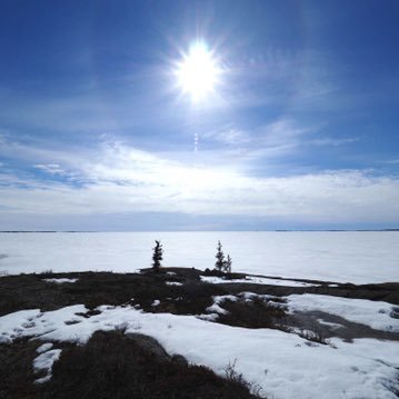 kask617's profile picture. ジャンルごちゃ混ぜなのでフォローバックしなくても大丈夫です！ #ロードバイク #ウマ娘 #リムブレーキ ロードバイクは組立て・メンテともフルセルフ勢 2006年から乗ってて歴だけは長い 独特の言い回しが好き #キモコメ文学 専攻 元婚活民(そこそこ長い苦しみの末に脱出)