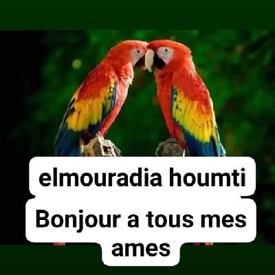 Bonjour atous mes amis sur facebook et instagram et twitter