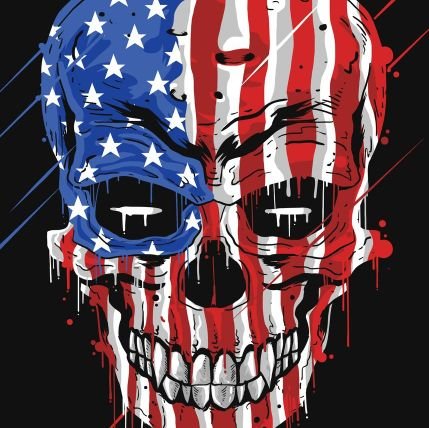 DemocracyDefen7's profile picture. Lover of country. Defender of democracy. Liberal.