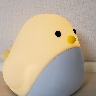 きむさんのプロフィール画像