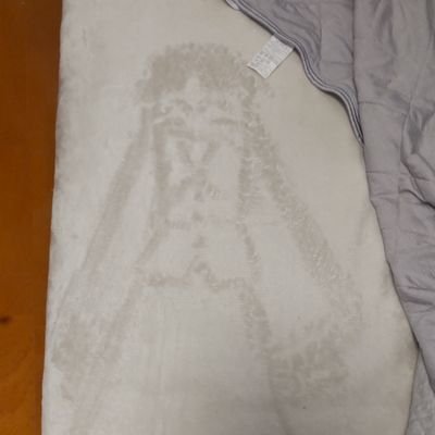 fubui_m's profile picture. 漫画家を志しているつもりの者