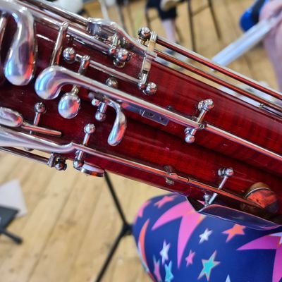 Bassoonist, passionate about classical music, BBC Radio 3 ❤️, cricket fan, classicist, runner, IT project manager
