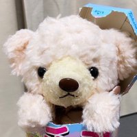 ぴんくまʕ•ᴥ•ʔ@ふゎふゎもふぽこす💨 (@kumanui_pinkuma) 's Twitter Profile