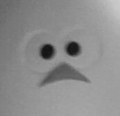 karate_mono's profile picture. 