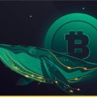 Mussia (@mussia11cryptos) 's Twitter Profile