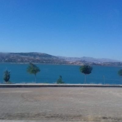 hosam_9494's profile picture. 