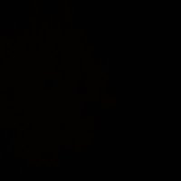Virsutary (@virsutary) 's Twitter Profile