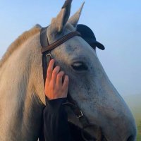 kaldırımtaşı (@kaldirimtasisi) 's Twitter Profile