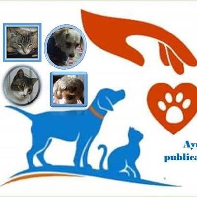 Twitter oficial del grupo Apoyo Croquetón. Amor por los animales.
Hasta que  tengan hogar  no  dejaremos de  publicar
https://t.co/AM7mfLIqky