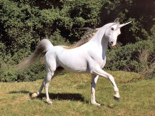 OMGitsaUNIC0RN's profile picture. I'm Mikey Way's unicorn, bitch!