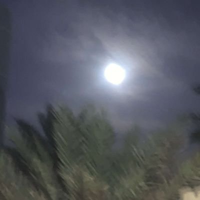 yV3ZpY7iBppCWEs's profile picture. Hello 🙋‍♂️🙋‍♂️