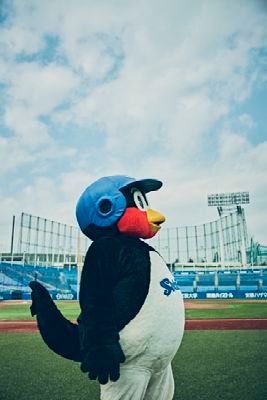 baseball__2896's profile picture. Yakult Swallows☂️/🚺/04/燕征会員/星稜時代から#18 #33 応援 📢/結局箱推し