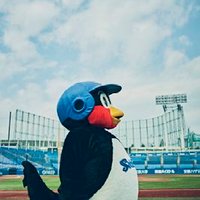 すわほー (@baseball__2896) 's Twitter Profile Photo すわほー (@baseball__2896) 's Twitter Profile Photo