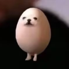 rocarrotさんのプロフィール画像