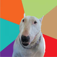 rsvp (@osrsrsvp) 's Twitter Profile Photo rsvp (@osrsrsvp) 's Twitter Profile Photo