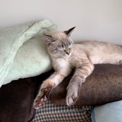 bUFpwuFVC1vRUCX's profile picture. 