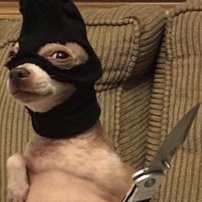 ChistesSj's profile picture. Chistes malos