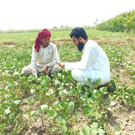 Agriculture Economist |
Scout Leader |
Research Fellow|
City of Saints