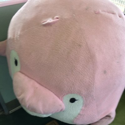 h1rai_s's profile picture. 98
エンジニア5年生