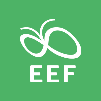 Equitable Education Fund (EEF), Thailand