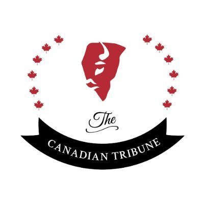 TribuneAlberta's profile picture. We go beyond the soundbites to provide real analysis of each weeks
top stories.