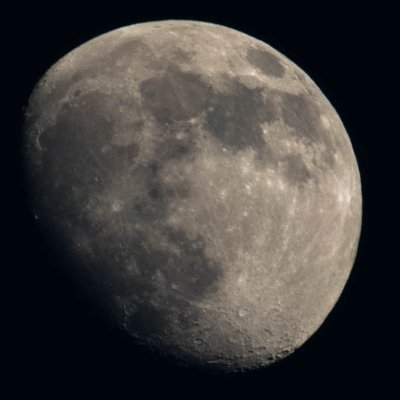 Gumby_Bumbie's profile picture. really trying not to cry or fall apart