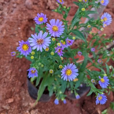 Mreddy244's profile picture. Bee happy