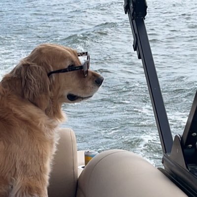 MJB9Q8_'s profile picture. 