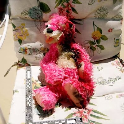 cckwbiz's profile picture. 