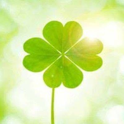 🍀因果応報🍀🏍️レブル250🍀🚘パレット🍀🐶蓮さまダックス16歳8ヶ月6日🍀📚️🍀🎺🍀☕🍀左きき🍀サ活🍀温活🍀断捨離中🍀麻木さん/HAWAIIAN6/細美武士/BRAHMAN/Kenband/ワンオク/🐺/LOWIQ01/FAR/ハイスタetc日常垢🍀美容師✂️不器用に真っ直ぐに