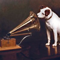 hmv Stirling(@hmvStirling) 's Twitter Profile Photo