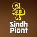 Sindh Point (@SindhPointNews) Twitter profile photo