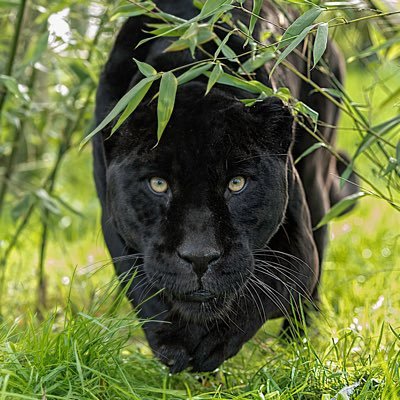 Alex34319992's profile picture. MASTER EDGING - 40 bsx, good-looking, HOST toned and fit guys for EDGING AND CUM CONTROL SESSIONS in Milan!