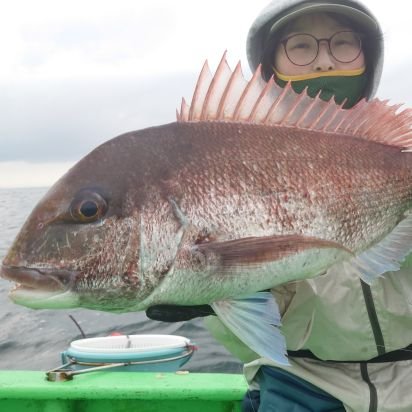 momok_uka's profile picture. 釣りと猫と食で生きてます