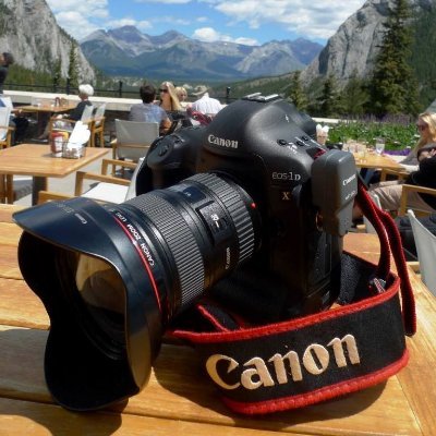 Gartner Software Eng Leader, Digital champion, Public speaker, Product manager, Innovator, Bridge to AsiaChina, Dogs lover, Photographer, Golfer, CancerSurvivor