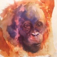 Rachel Meadows (@rachelmeadowsx) 's Twitter Profile Photo