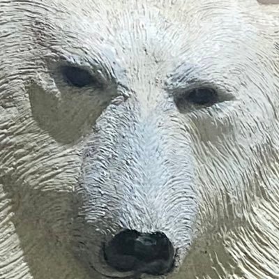 チンﾞｯパンﾞさんのプロフィール画像